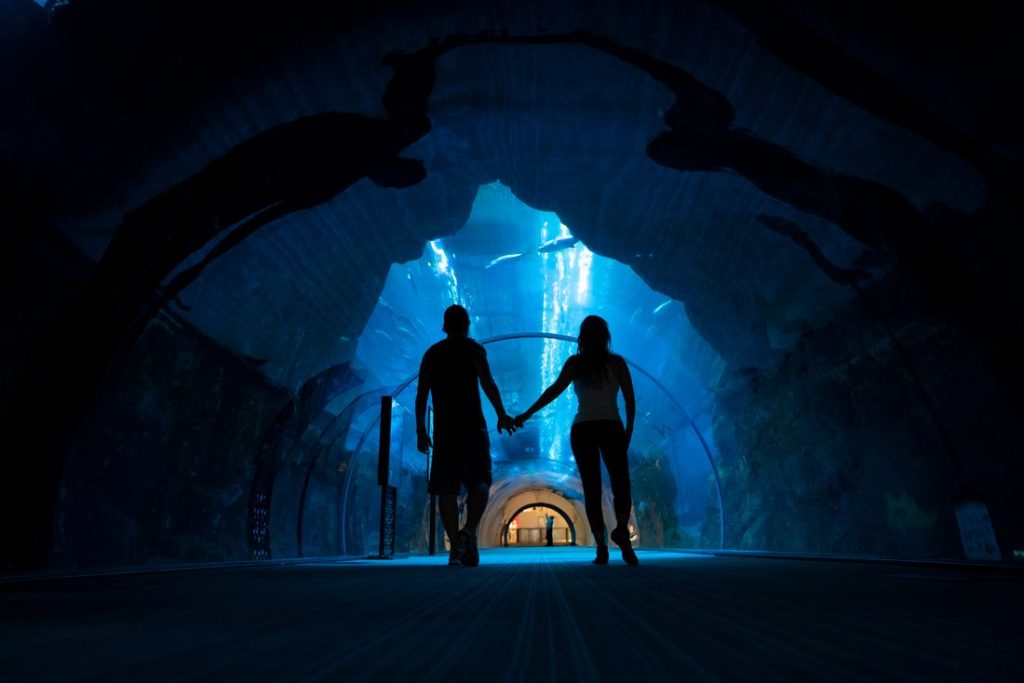 Dubai Aquarium & Underwater Zoo